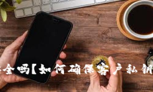 TP钱包安全吗？如何确保客户私钥不被盗取