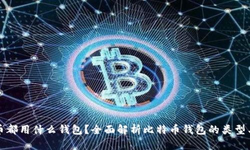 比特币都用什么钱包？全面解析比特币钱包的类型与选择