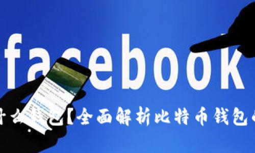 比特币都用什么钱包？全面解析比特币钱包的类型与选择