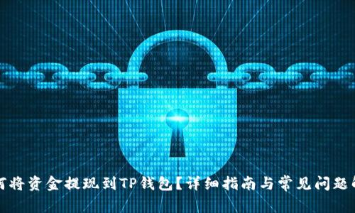 如何将资金提现到TP钱包？详细指南与常见问题解答