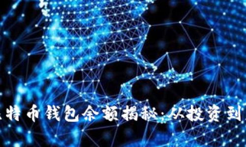 北大李晨比特币钱包余额揭秘：从投资到财富的变迁