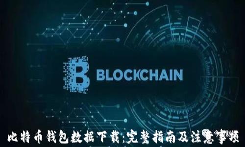 
比特币钱包数据下载：完整指南及注意事项