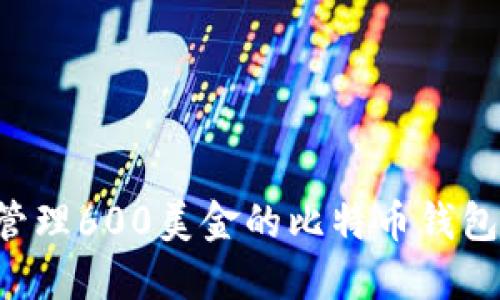 如何安全管理600美金的比特币钱包：新手指南