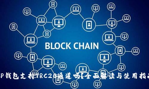 TP钱包支持TRC20通道吗？全面解读与使用指南