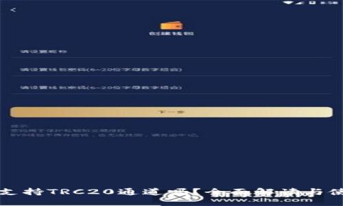 TP钱包支持TRC20通道吗？全面解读与使用指南