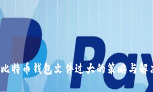  应对比特币钱包文件过大的策略与解决方案