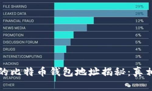 中本聪的比特币钱包地址揭秘：真相与猜测