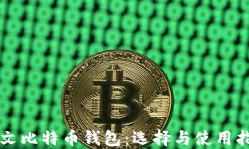 
中文比特币钱包：选择与使用指南