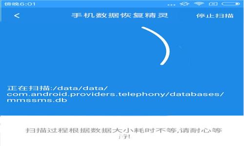 TP钱包如何查看持币情况：详细指南