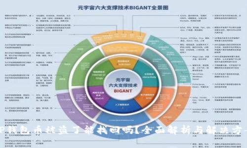 TP钱包币被盗了能找回吗？全面解析与解决方案