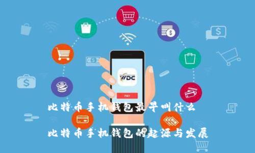 比特币手机钱包最早叫什么

比特币手机钱包的起源与发展