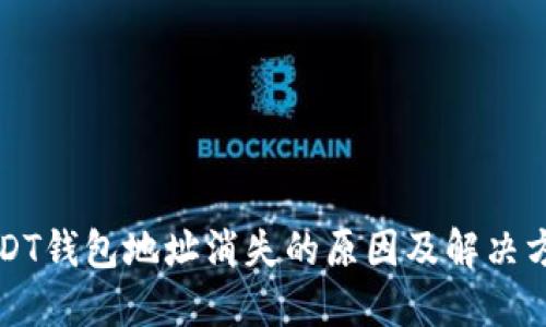 USDT钱包地址消失的原因及解决方案