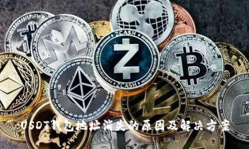 USDT钱包地址消失的原因及解决方案