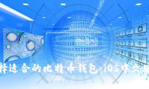 : 如何选择适合的比特币钱包：iOS中文版完全指南