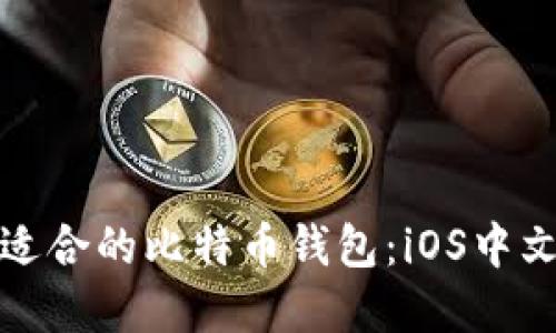 : 如何选择适合的比特币钱包：iOS中文版完全指南