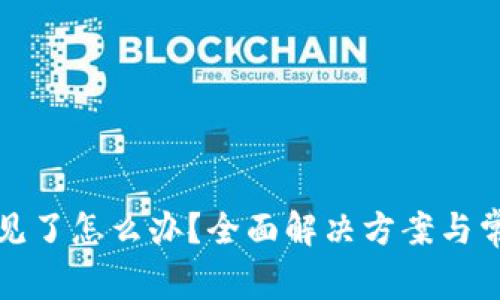 tp钱包币不见了怎么办？全面解决方案与常见问题解析