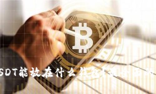 : USDT能放在什么钱包？最全面的指南