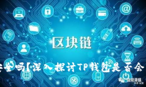 TP钱包安全吗？深入探讨TP钱包是否会盗取资产