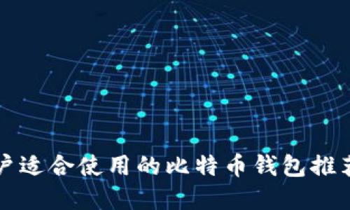 苹果用户适合使用的比特币钱包推荐与对比