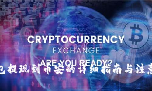 tp钱包提现到币安的详细指南与注意事项