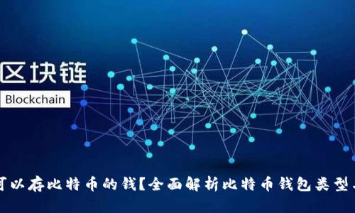 什么钱包可以存比特币的钱？全面解析比特币钱包类型与选择指南