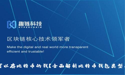 什么钱包可以存比特币的钱？全面解析比特币钱包类型与选择指南
