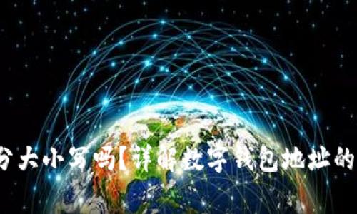  tp数字钱包地址区分大小写吗？详解数字钱包地址的特性与使用注意事项