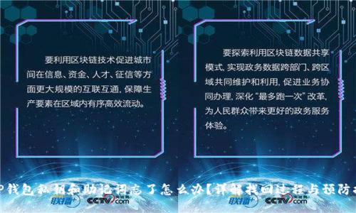 : TP钱包私钥和助记词忘了怎么办？详解找回过程与预防措施