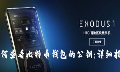如何查看比特币钱包的公钥：详细指南