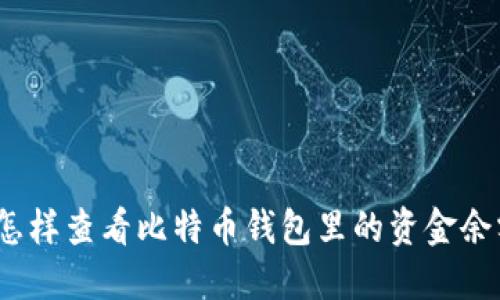 : 怎样查看比特币钱包里的资金余额？