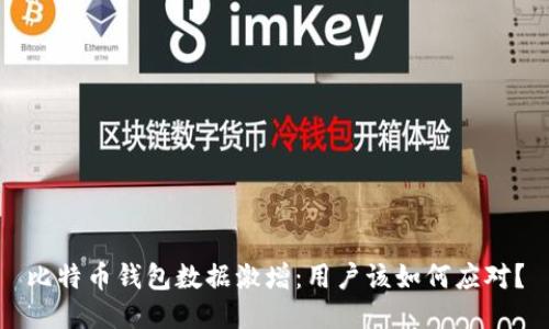 比特币钱包数据激增：用户该如何应对？