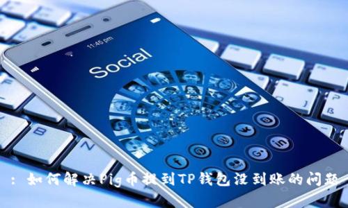: 如何解决Pig币提到TP钱包没到账的问题