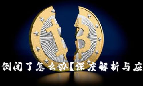 TP钱包倒闭了怎么办？深度解析与应对策略