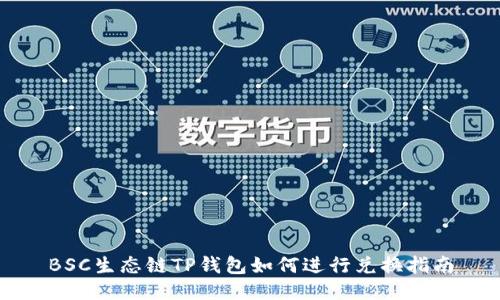 BSC生态链TP钱包如何进行兑换指南