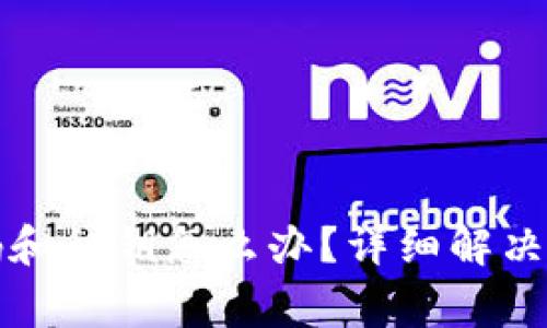 TP钱包忘记密码和私钥怎么办？详细解决方案与注意事项