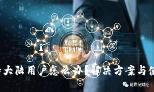  TP钱包不支持大陆用户怎么办？解决方案与使用技巧大揭秘