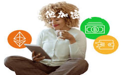 墨西哥使用比特币钱包的情况越来越受到关注，随着数字货币的普及，越来越多的墨西哥用户开始使用比特币及其他加密货币进行交易。为了方便墨西哥用户管理、购买和交易比特币，市场上推出了多种比特币钱包，满足不同用户的需求。

下面我们将深入探讨墨西哥使用的比特币钱包，提供一个全面的概述。

墨西哥最受欢迎的比特币钱包及其使用指南