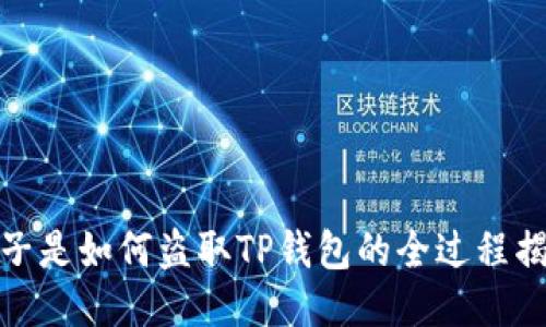 骗子是如何盗取TP钱包的全过程揭秘