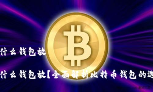 比特币用什么钱包放

比特币用什么钱包放？全面解析比特币钱包的选择与使用