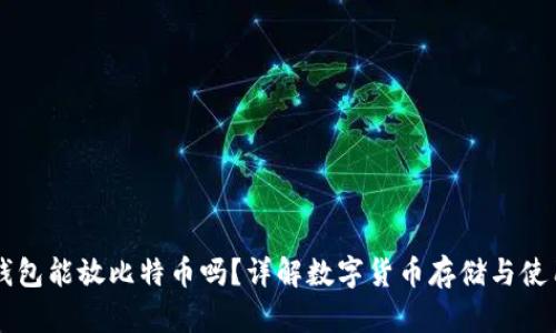百度钱包能放比特币吗？详解数字货币存储与使用方式