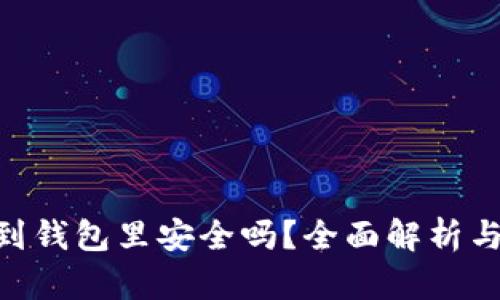  USDT放到钱包里安全吗？全面解析与风险防范