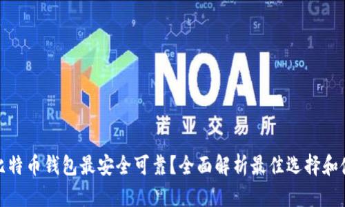 : 哪种比特币钱包最安全可靠？全面解析最佳选择和使用技巧