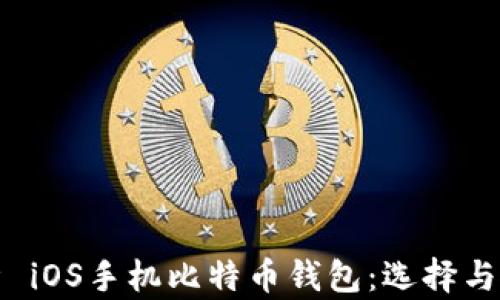 
全面解析 iOS手机比特币钱包：选择与使用指南