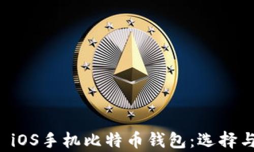 
全面解析 iOS手机比特币钱包：选择与使用指南