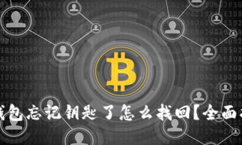 TP钱包忘记钥匙了怎么找回？全面指南