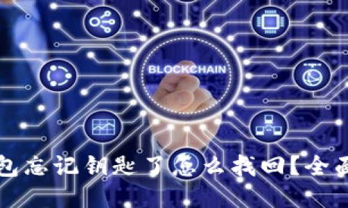 TP钱包忘记钥匙了怎么找回？全面指南