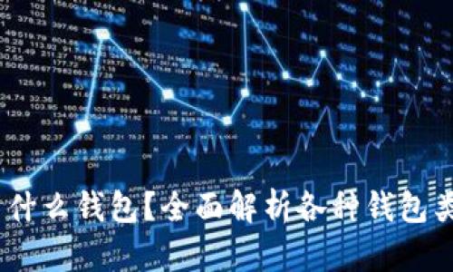 USDT都用什么钱包？全面解析各种钱包类型与推荐