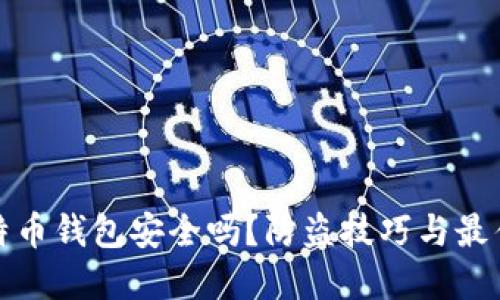 : 比特币钱包安全吗?防盗技巧与最佳实践
