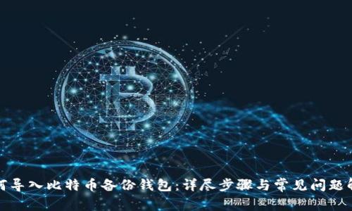 如何导入比特币备份钱包：详尽步骤与常见问题解答