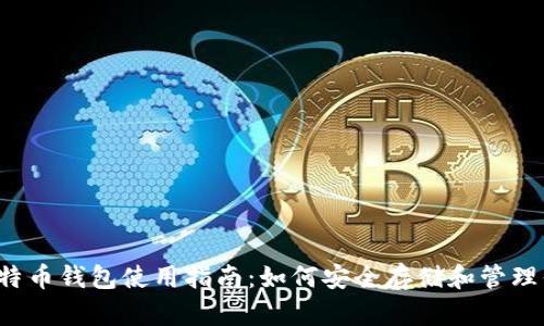 2011年比特币钱包使用指南：如何安全存储和管理你的比特币